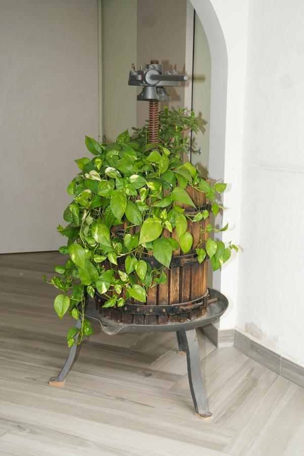 ホテル Il Glicine ソレント エクステリア 写真